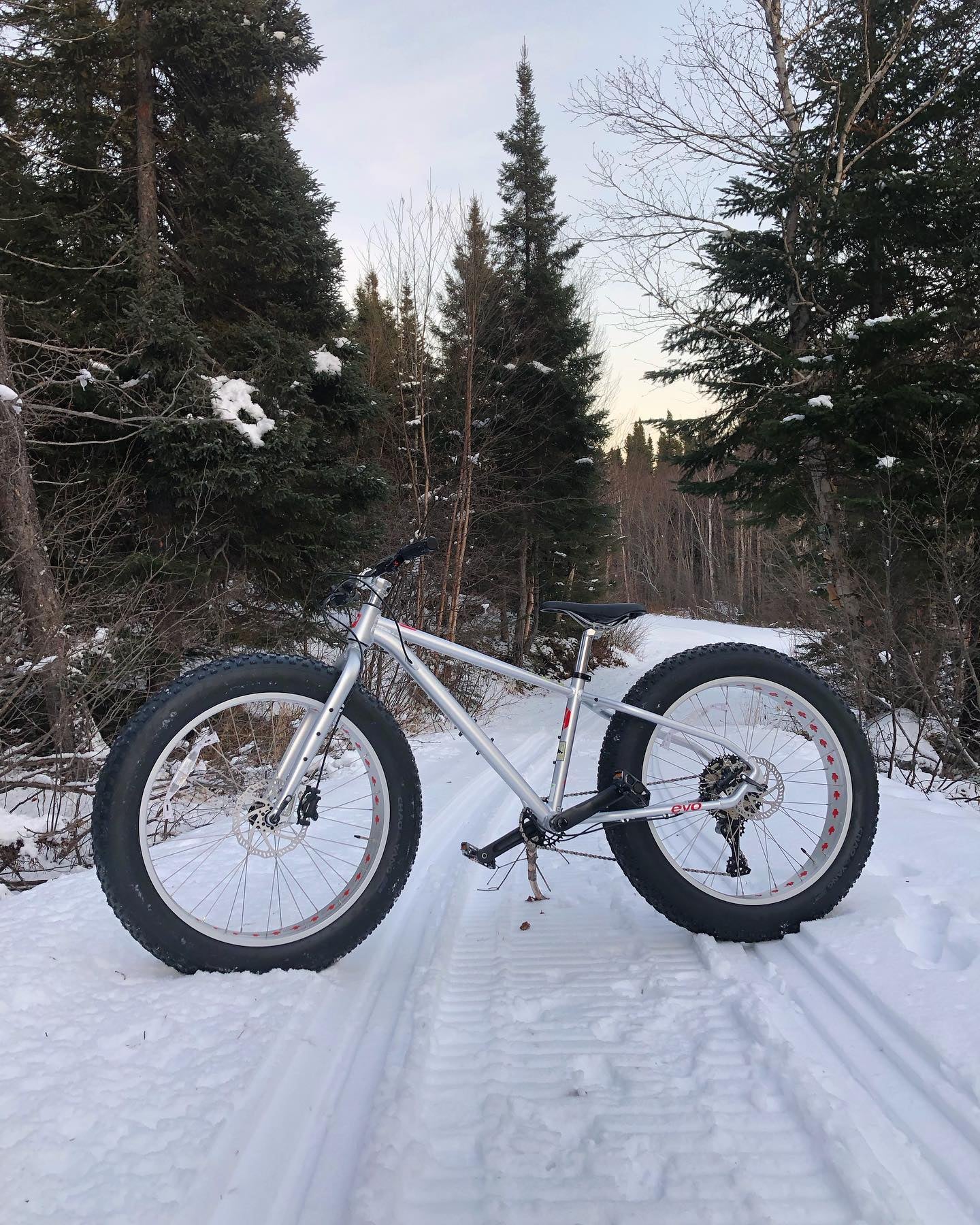 Fat sales bike club